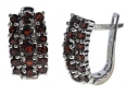 Серьги, серебро 925, гранат 002 01 21sk-00331 2010 г инфо 3747w.