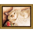 Постер "Белый кот", 30 см х 40 см 40 см Артикул: 30x40 OZC044-504011 инфо 6484q.