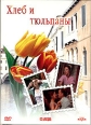 Хлеб и тюльпаны Серия: Зарубежное кино инфо 7893q.